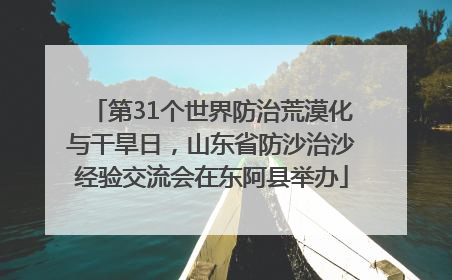 第31个世界防治荒漠化与干旱日，山东省防沙治沙经验交流会在东阿县举办